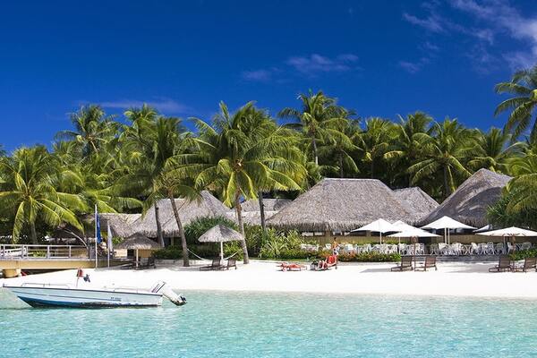 Sufi Tours and Travels