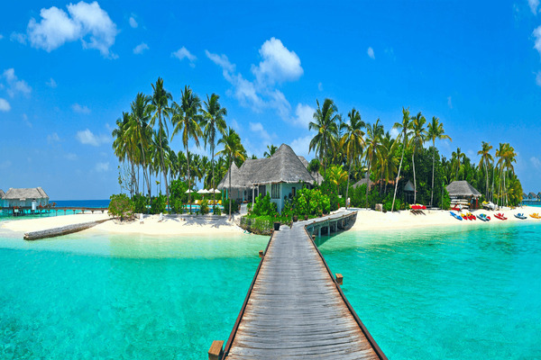 Darshan Tours & Travels