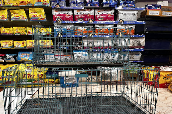 Prince Pets & Aquarium Siolim