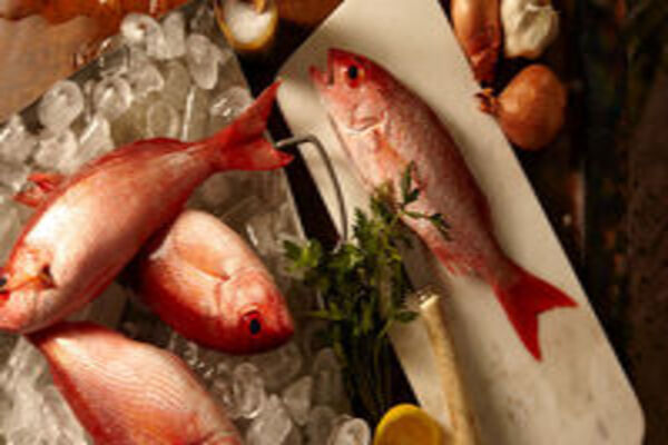 The Fishermans Wharf