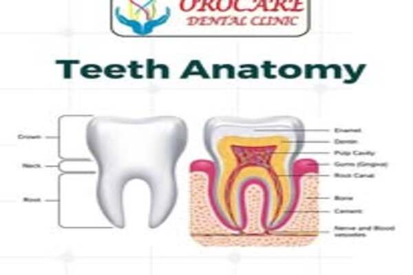 Orocare Dental Clinic