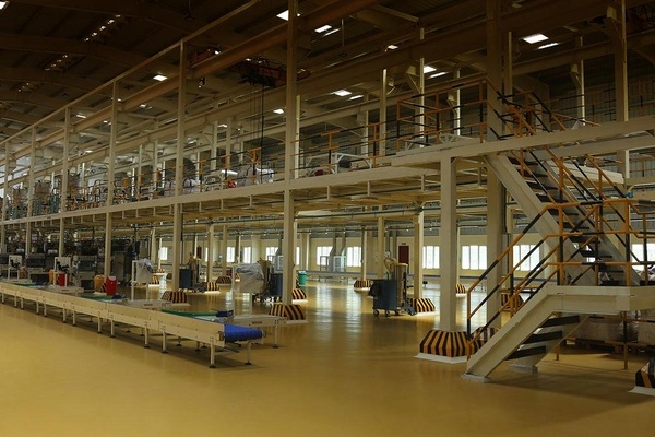 Hindustan Foods Limited