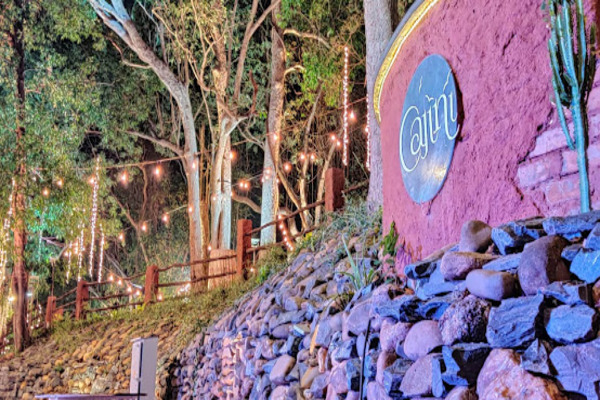 Cajini Multipurpose Lawn