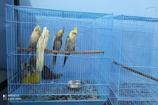 M. R. Pets & Aquarium