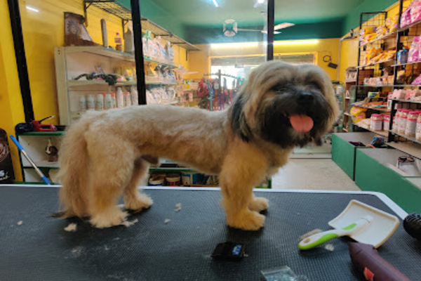 Enchanting Pets Grooming and Store ® GOA