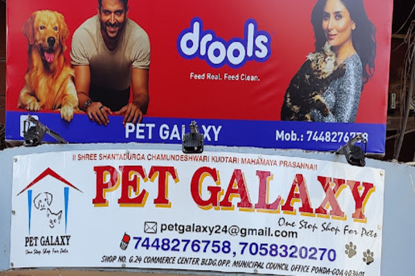 Pet Galaxy