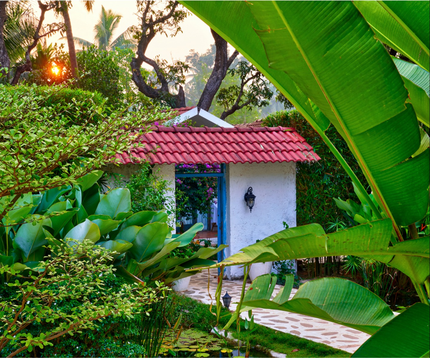 Blu Resorts