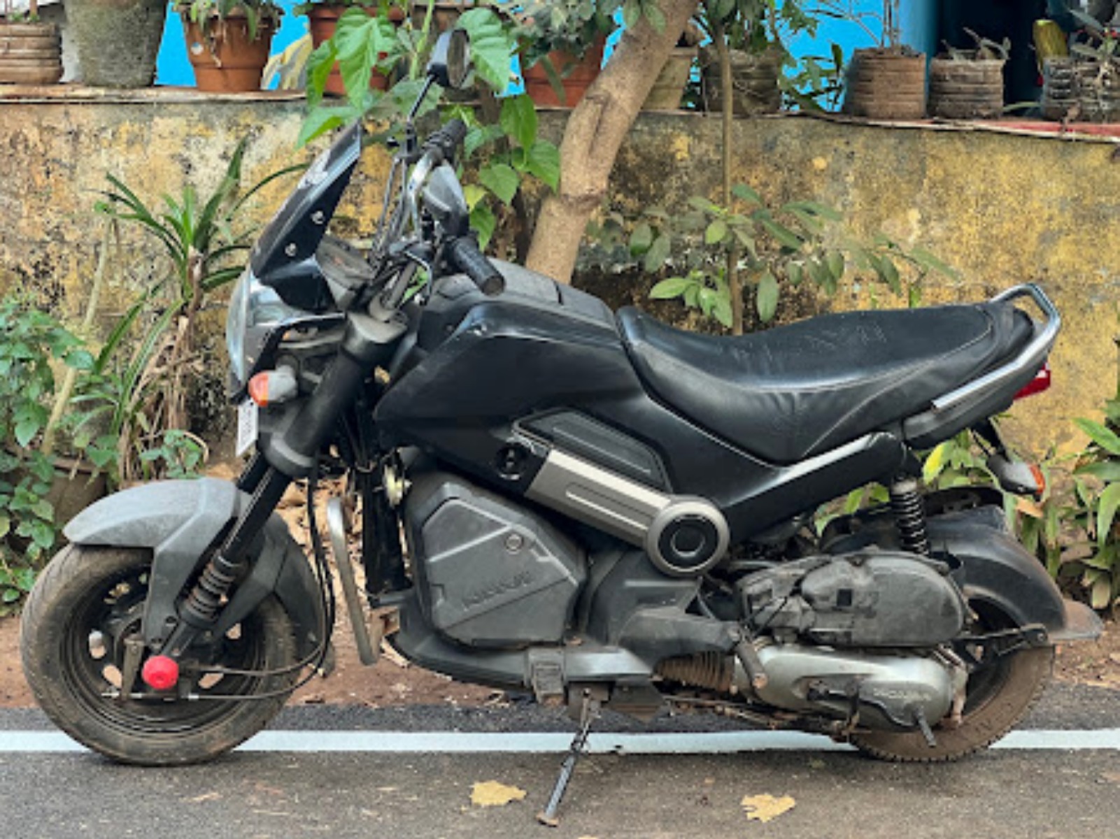 Coko Bikes for rent