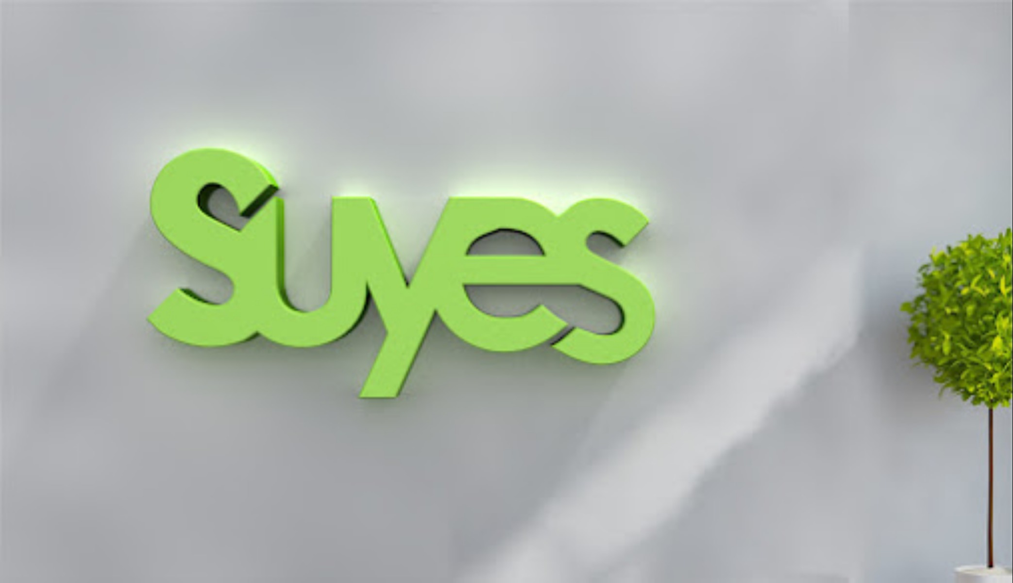 Suyes