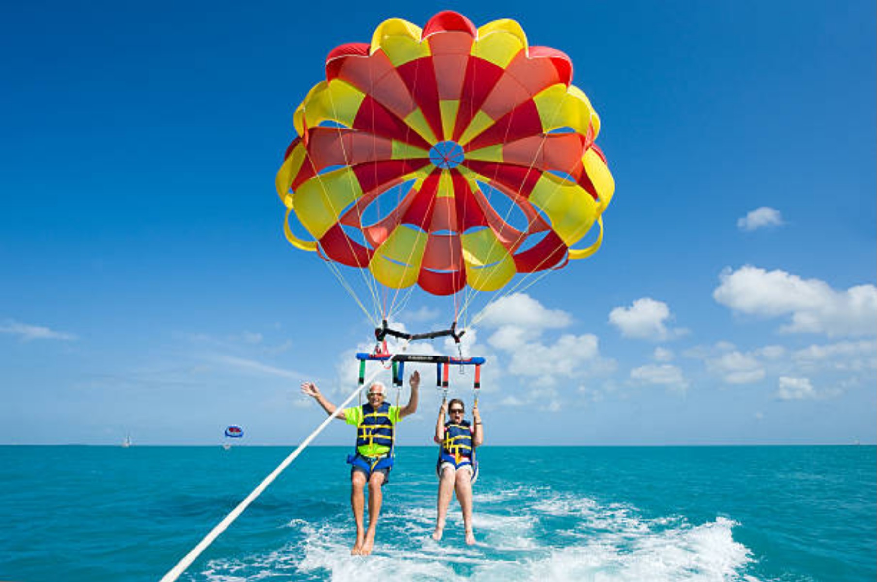 Ronny Ferns Travel Company