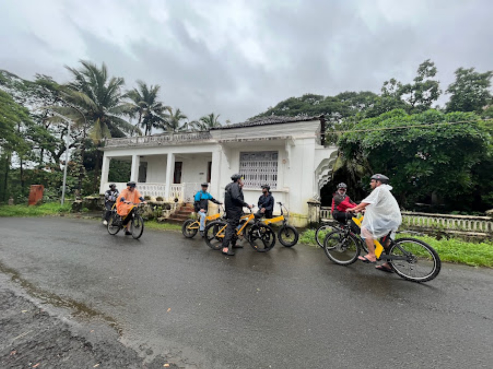 BLive Electric Bike/Cycle Tours